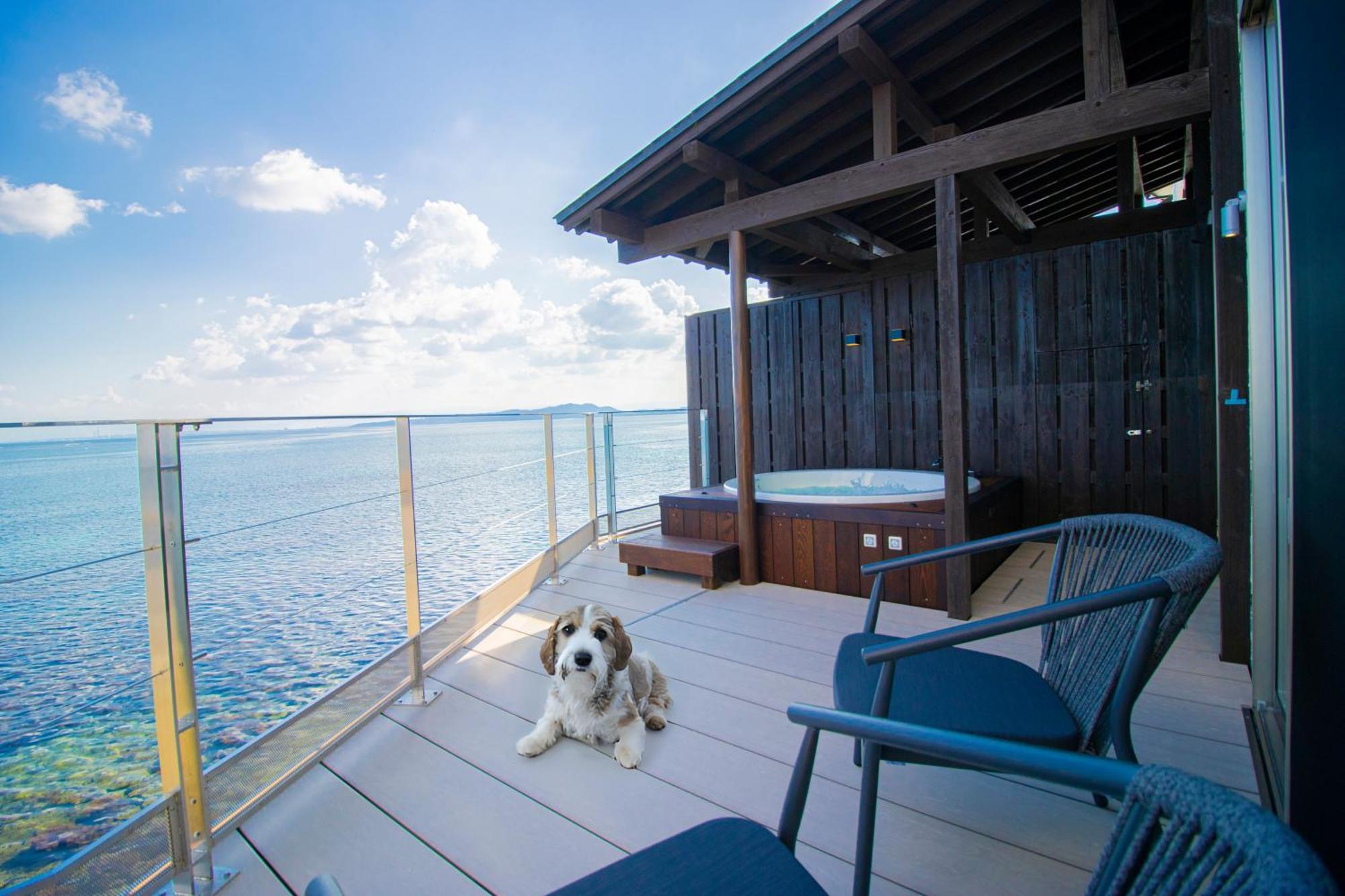 La Se Ri Resort And Stay Himi Dış mekan fotoğraf